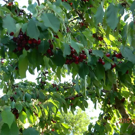 Casa Malescale Apartahotel