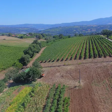 Casa Malescale Orvieto
