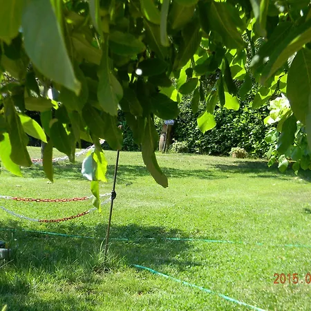 Apartmanhotel Casa Malescale Orvieto