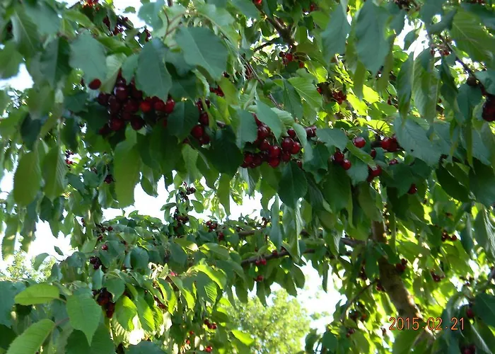 Casa Malescale Apart-hotel