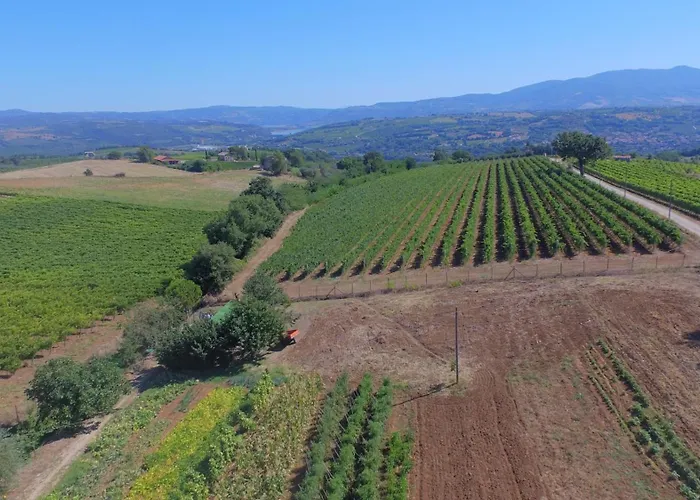 Casa Malescale 오르비에토